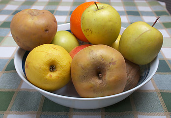 Image showing Fruits picture