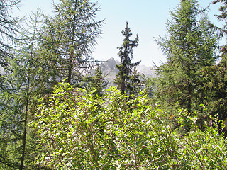 Image showing Alps mountains