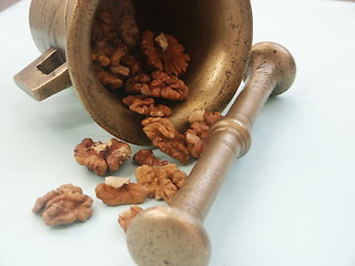 Image showing Mortar with walnuts