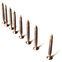 Image showing Screws