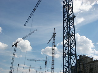 Image showing Building cranes