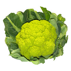 Image showing Cauliflower