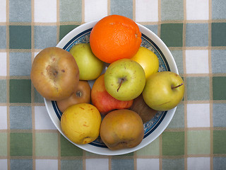 Image showing Fruits picture