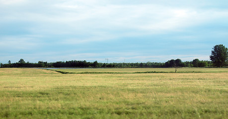 Image showing Paddy field