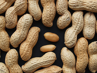 Image showing Peanut picture