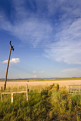 Image showing Open Gate to a Field in Helena