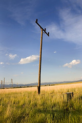 Image showing Electric Pole in a Field in Helena