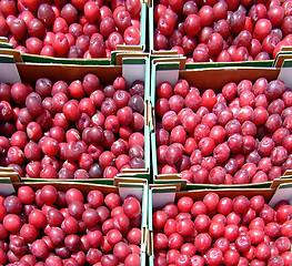 Image showing Six plum crates