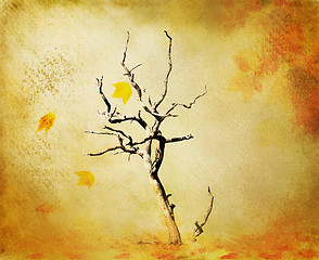 Image showing fall grunge background