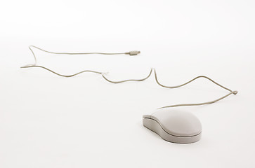 Image showing Computer mouse