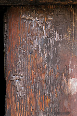 Image showing Burned wood