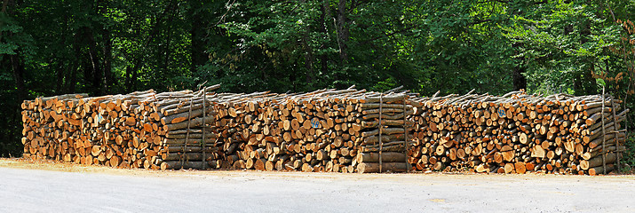 Image showing Fire wood