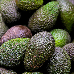 Image showing Green avocado