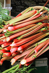 Image showing Ruhubarb bunch