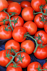 Image showing Tomato