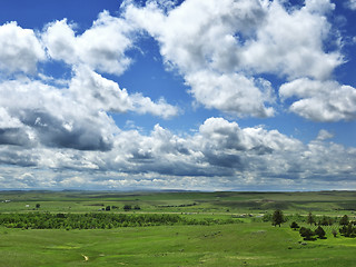 Image showing summer landscape