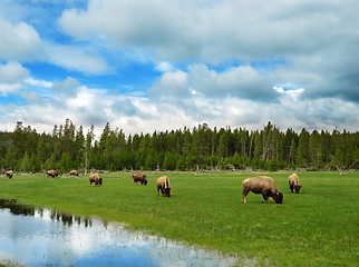 Image showing mountain valley with river and trees