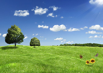 Image showing summer landscape 