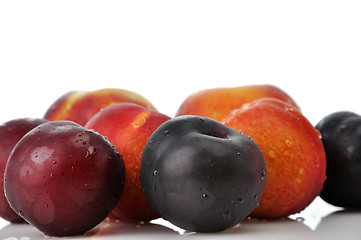 Image showing plums ,peaches and nectarines