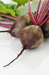Image showing fresh beets