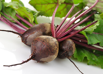 Image showing fresh beets