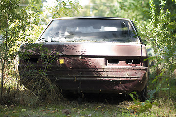 Image showing Old, broken car between green bushes 