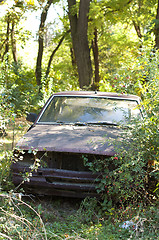 Image showing Old, broken car between green bushes 