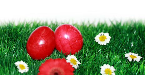 Image showing Red eggs on a flower meadow 