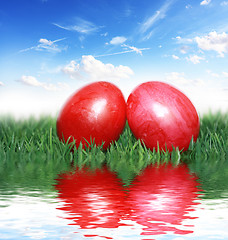 Image showing Red eggs in the grass 