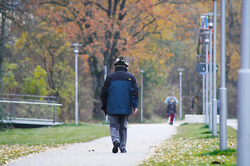 Image showing Walking