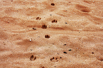 Image showing Footprints on the beach