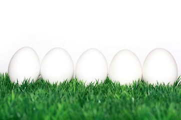 Image showing White eggs 