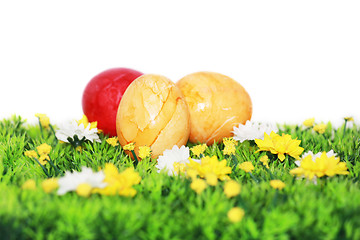 Image showing Yellow and red Easter eggs 