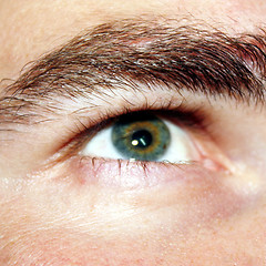 Image showing Eye in Focus 