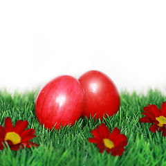 Image showing Easter eggs painted beautiful 