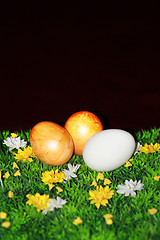 Image showing Three Easter Eggs 