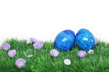 Image showing Two blue eggs 