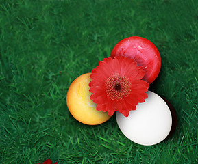 Image showing Colorful Easter eggs on green grass 