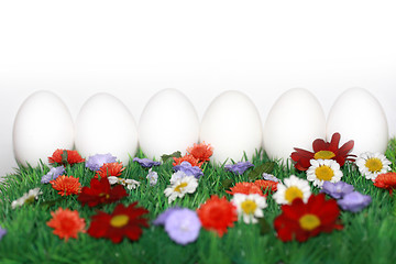 Image showing White eggs on a colorful meadow 