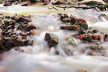 Image showing Water on the rocks into the forest