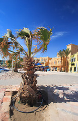 Image showing City square in El-Gouna