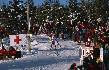 Image showing Cross country skiing