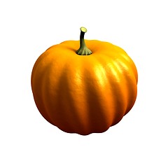 Image showing The ripe pumpkin