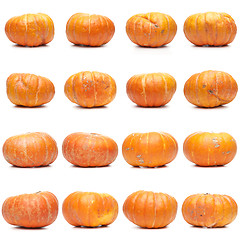 Image showing Sixteen fresh pumpkins