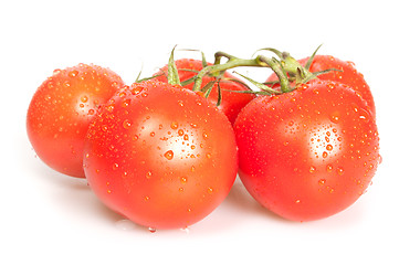 Image showing Fresh Tomatoes 