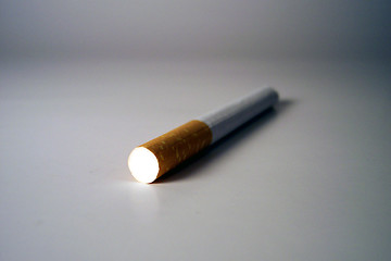 Image showing cigarette butt