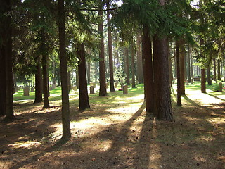 Image showing Cemetary