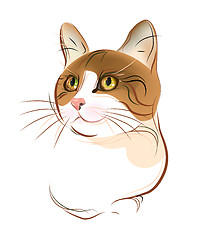 Image showing hand drawn portrait of  ginger tabby cat