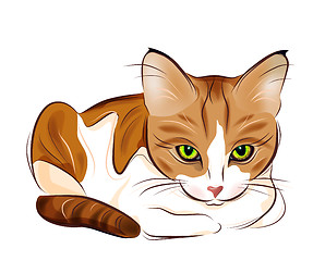 Image showing hand drawn portrait of  ginger tabby cat
