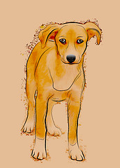 Image showing portrait of homeless stray dog